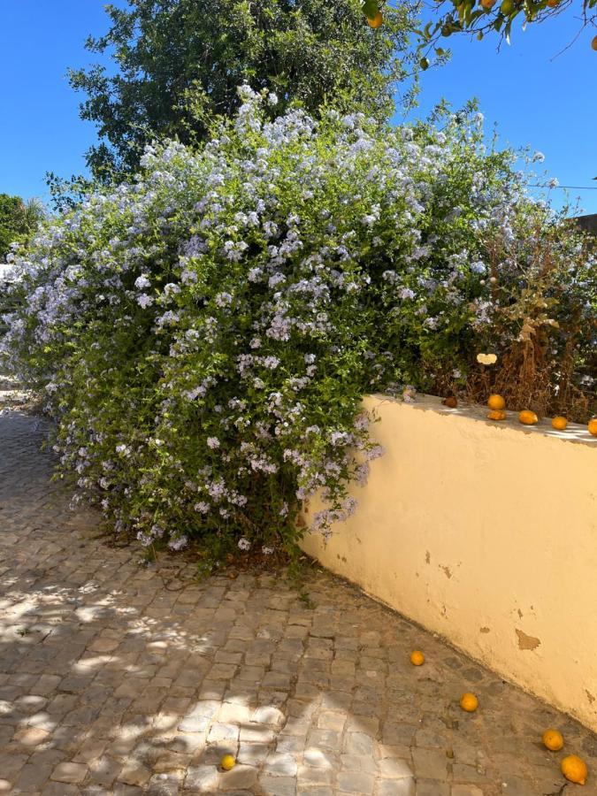 Vakantiehuis Quinta Da Layla