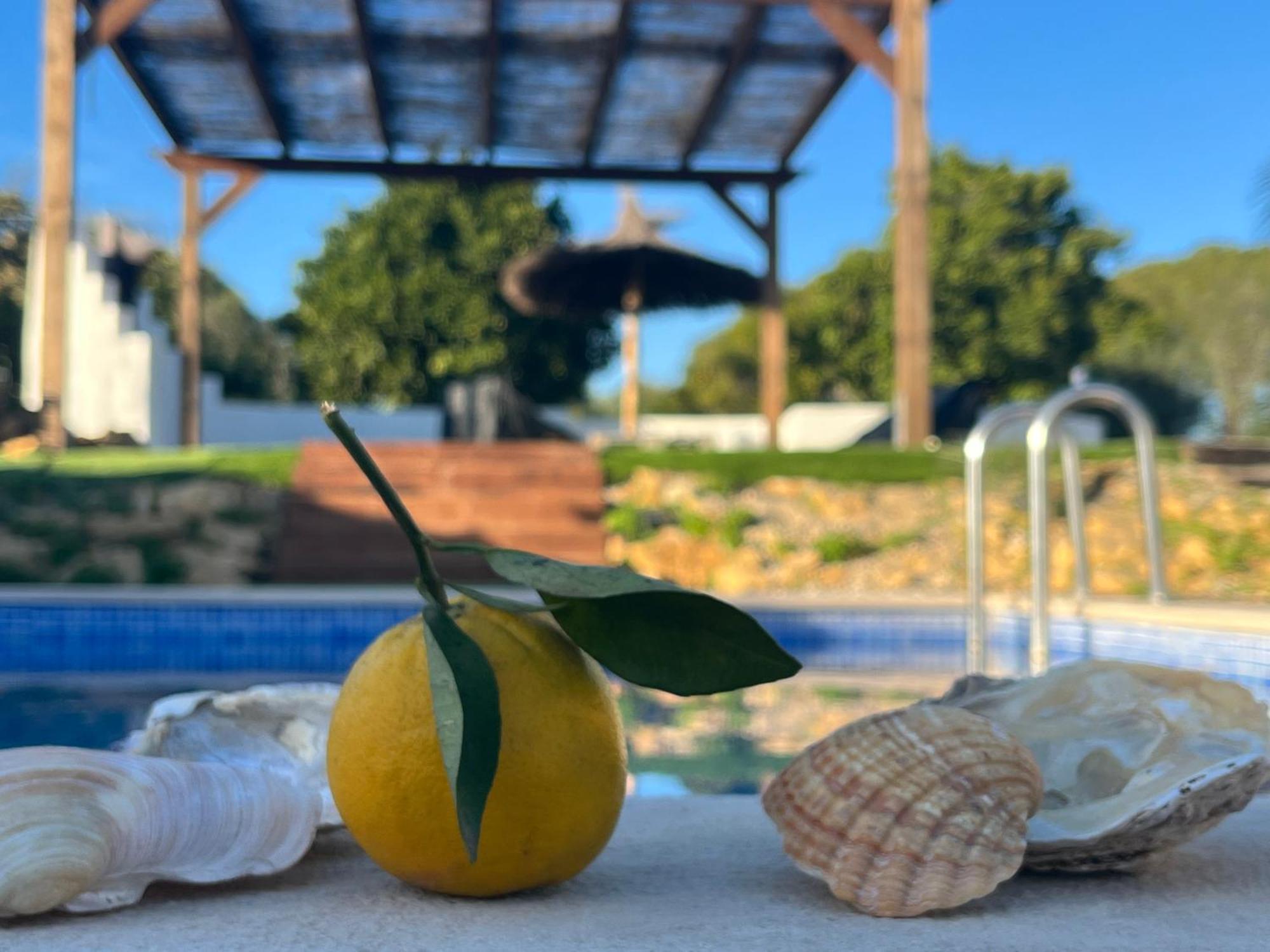 Holiday home Quinta Da Layla